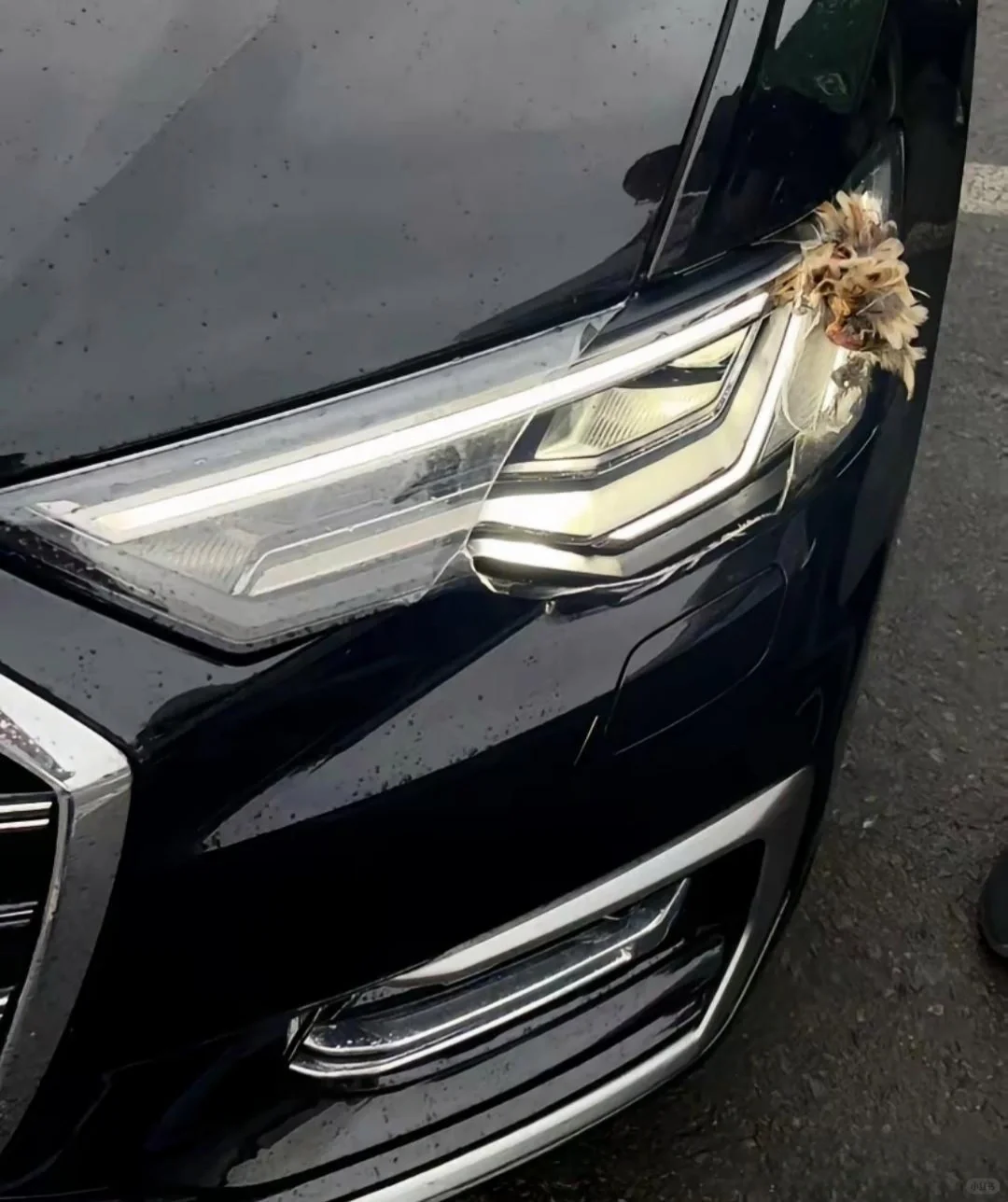 劝退我买bBA的不是车辆的价格，而是车辆维修和贬值的差距，就这一个大灯出了点事故...