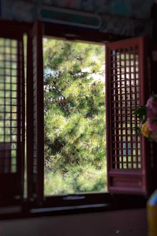 暮年续，七律，《岁月安然》
半生风雨鬓成丝，
笑对流年自不悲。
闲倚松窗观落日，