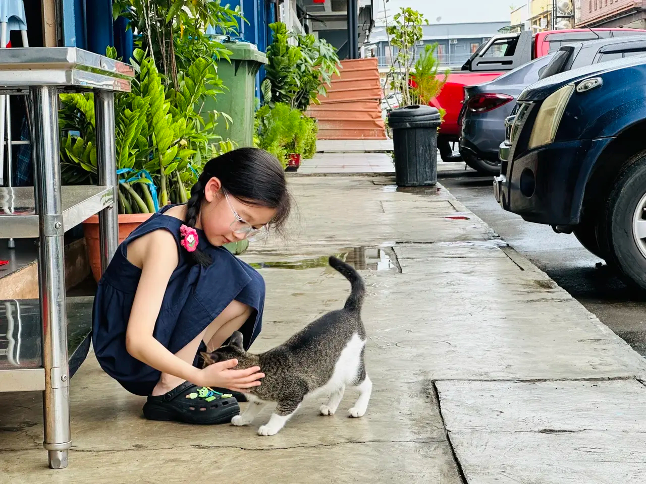 这个世界不能没有小猫！ ​​​