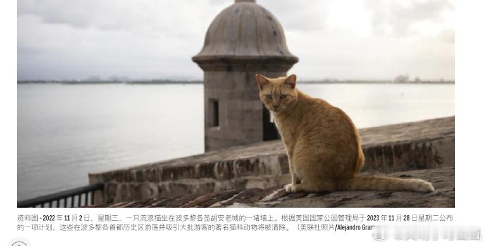 美国的公园力排众异，强力清除掉流浪猫投喂点，多国及地区将投喂视为违法行为。广东电