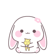 五哈6阵容官宣今天定档，周五播出好吗？好的。 