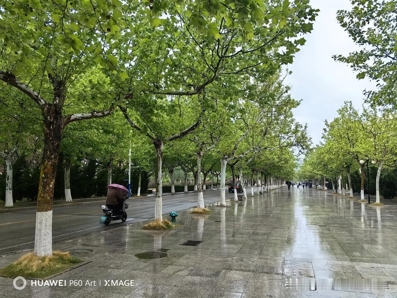 春雨贵如油，立夏方补充。
