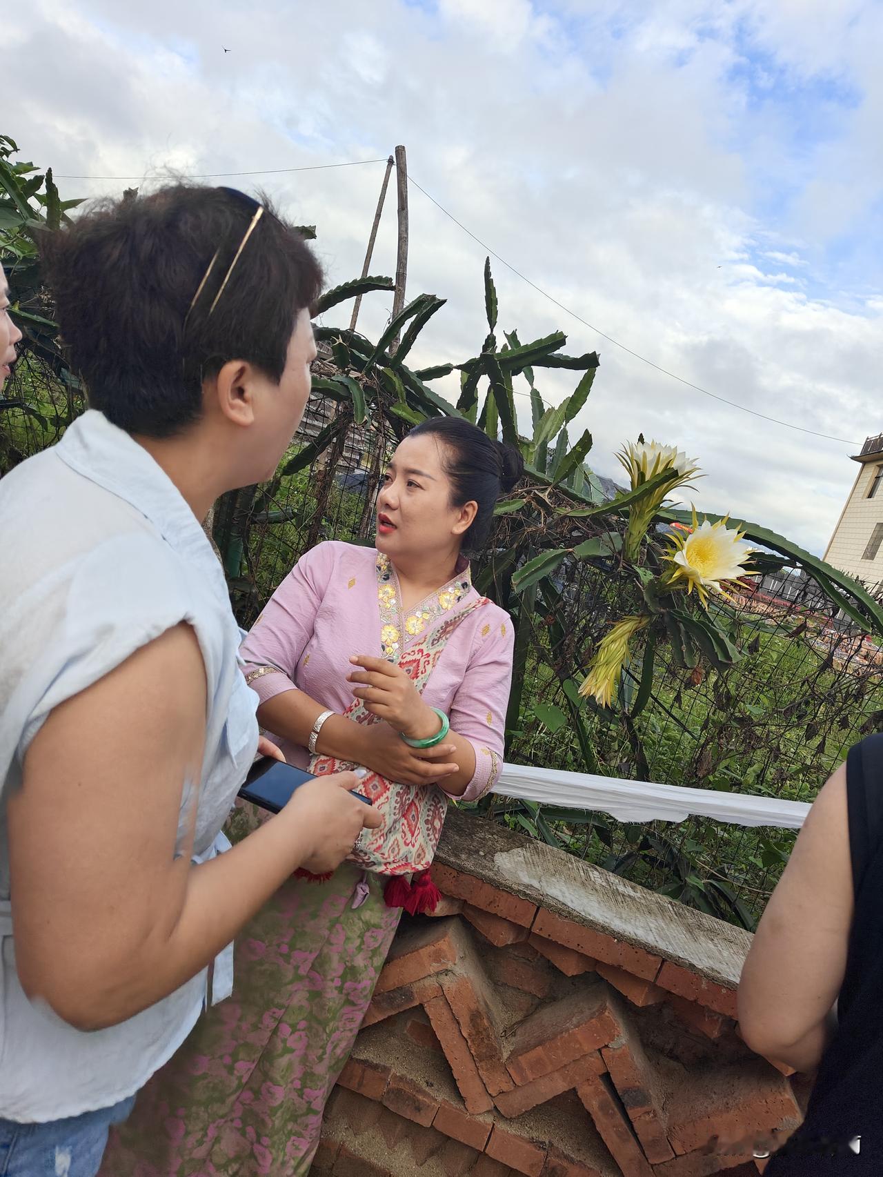 傣寨试婚，女娶男嫁
 踏入藏在热带雨林中的傣族村寨，凤尾竹环绕着错落竹楼，整座寨