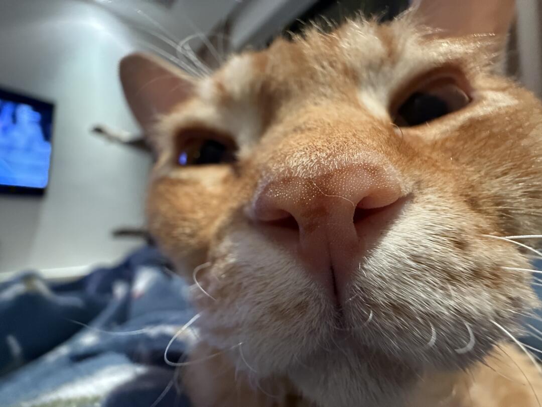 吻我💋
