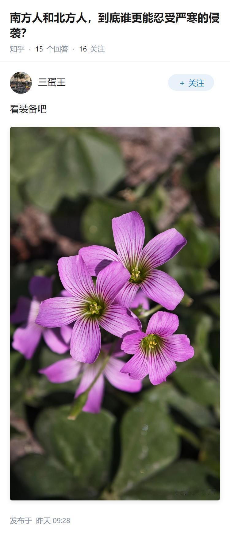 南方人和北方人，到底谁更能忍受严寒的侵袭？