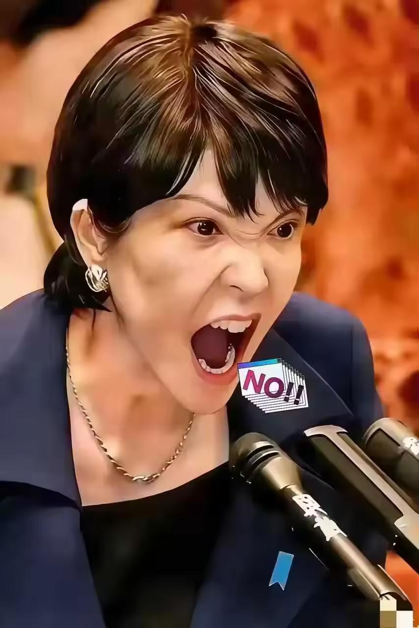 美日传来新消息！

3月19日，日美签署协议，对稀土、锂、镓加征关税，妄图围堵东