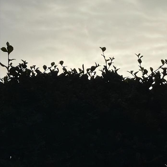 信息   关于临沂人大的
 
12月4日10:05，关于该市人大的一则信息发布，