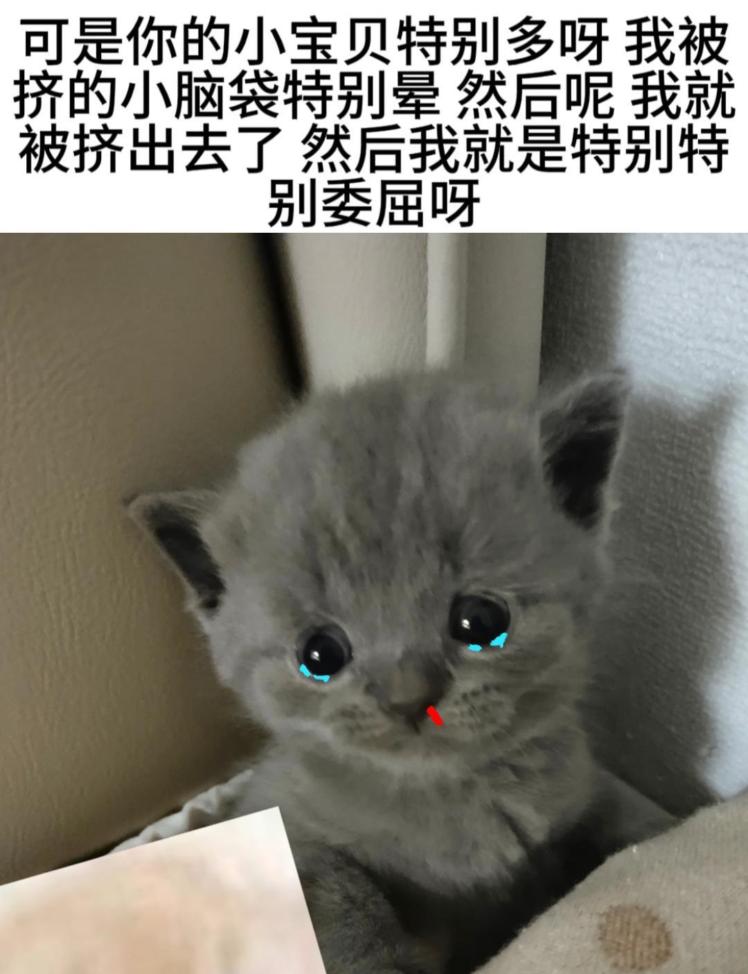 ​​​