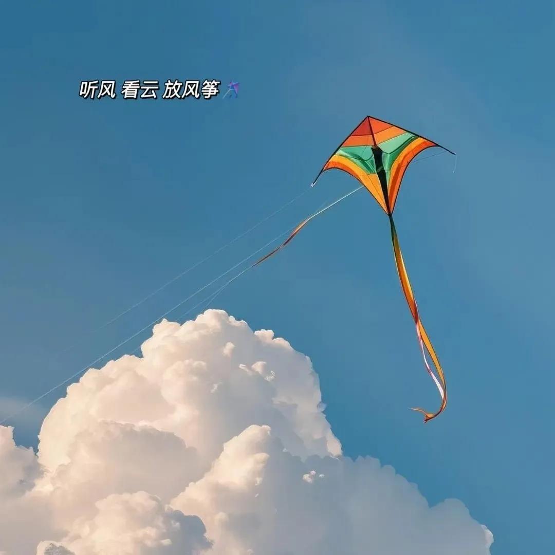 📸𝙼𝚢 𝙳𝚊𝚒𝚕𝚢 𝙻𝚒𝚏𝚎˚‧° /
热爱不会过期，日