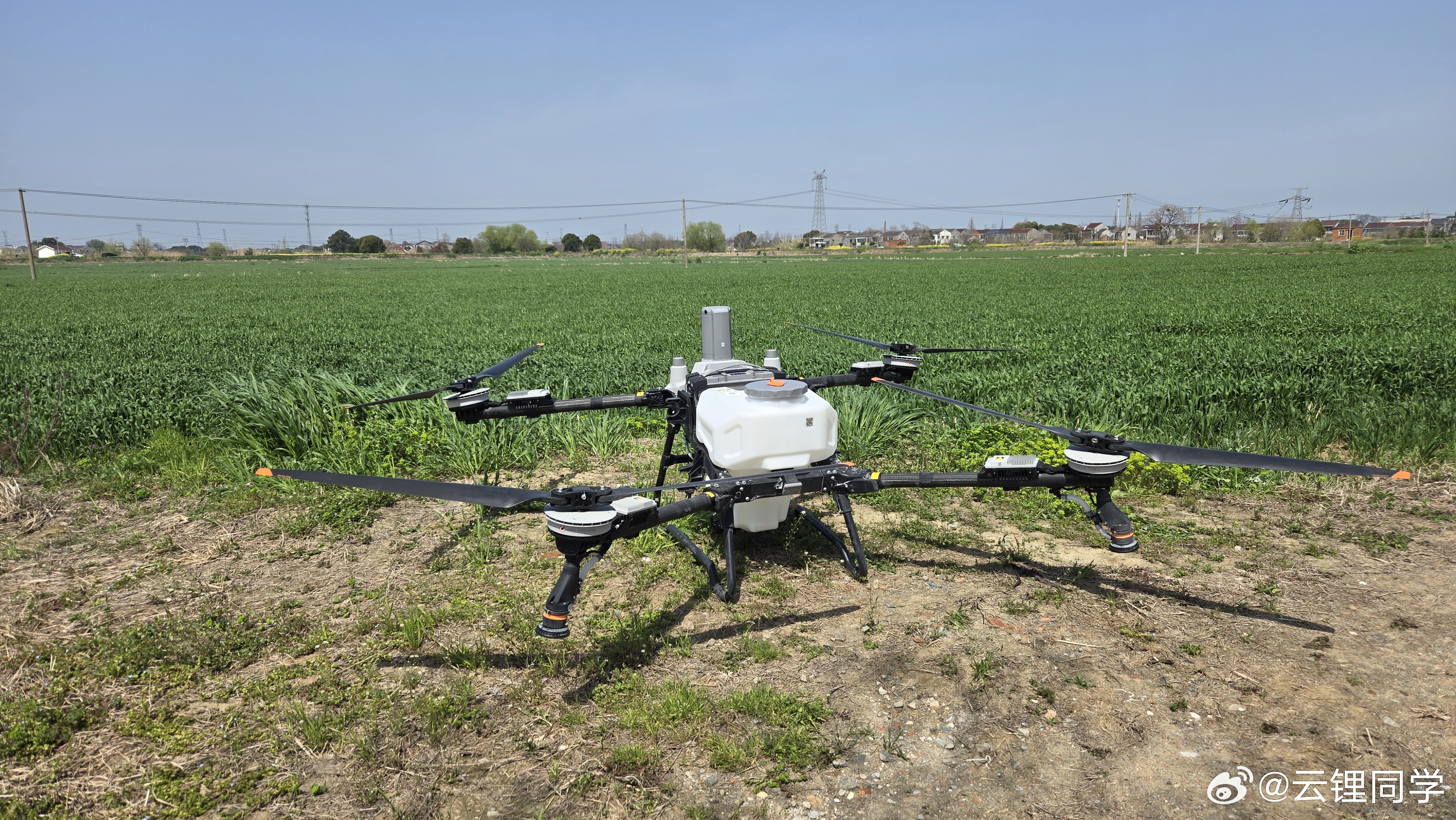 我们村已经用上无人机洒杀虫药了 宜兴