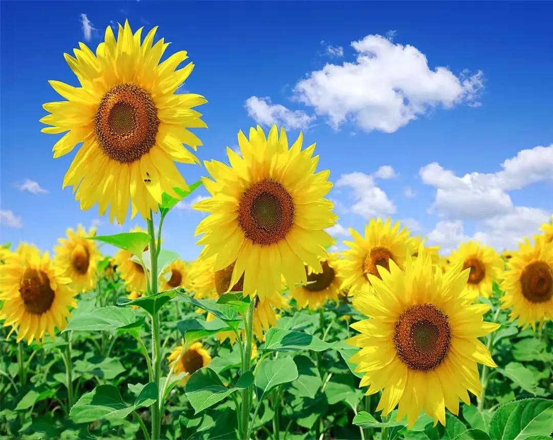 人生八个实在话，每一句都说到心坎里！光第一句就戳中我心窝了...

