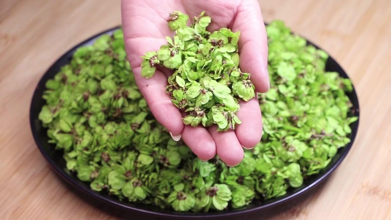 10元做一大盘榆钱窝窝，香到跺脚！🍃一年就等这口鲜！
作为北方孩子，春天最期待