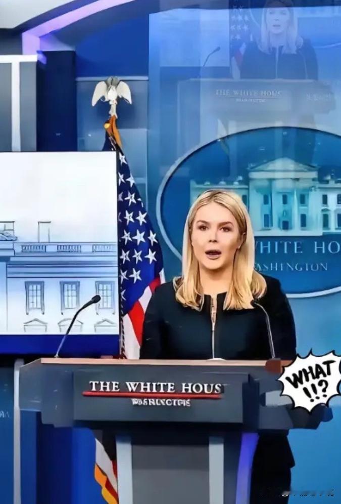 美国被中国再度拒绝了，美国官员很沮丧。
“中国不想跟我们合作了，中国想要实现半导