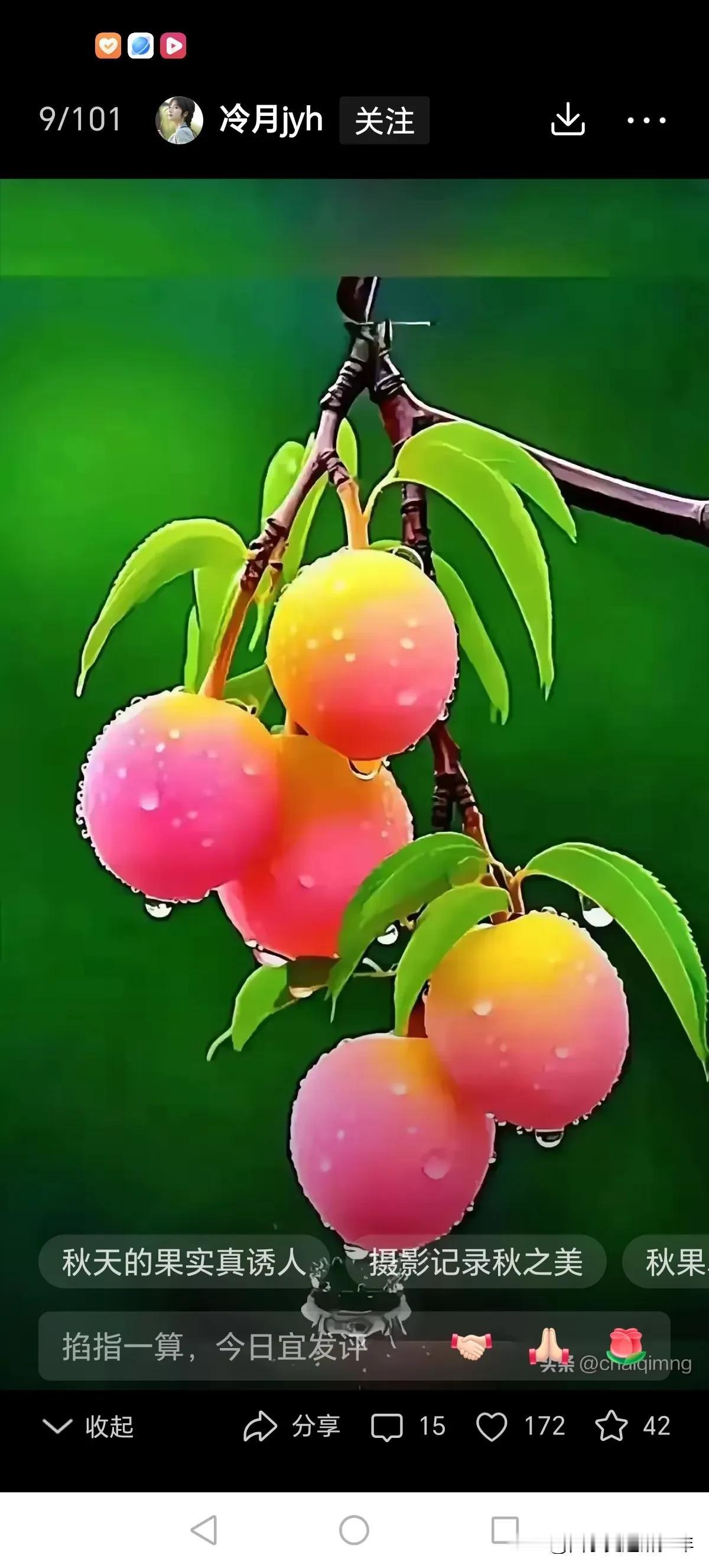 今日立秋。
我眷恋夏天，可秋还是来了。
刚刚立秋，还有夏的影子，她走后的余温。