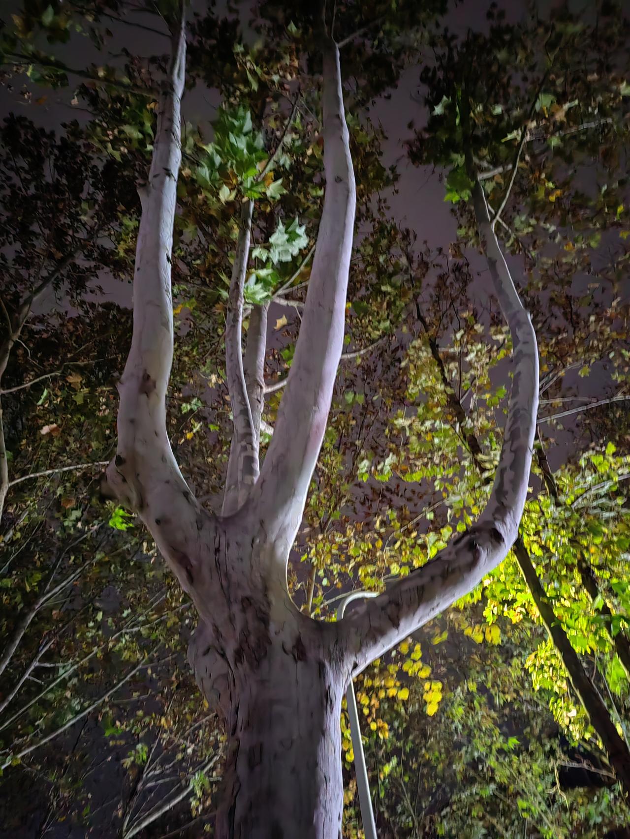 日本是个思维狭隘固执的民族，根本没有意识到美俄都不希望它翻身，频频挑衅中国，中国