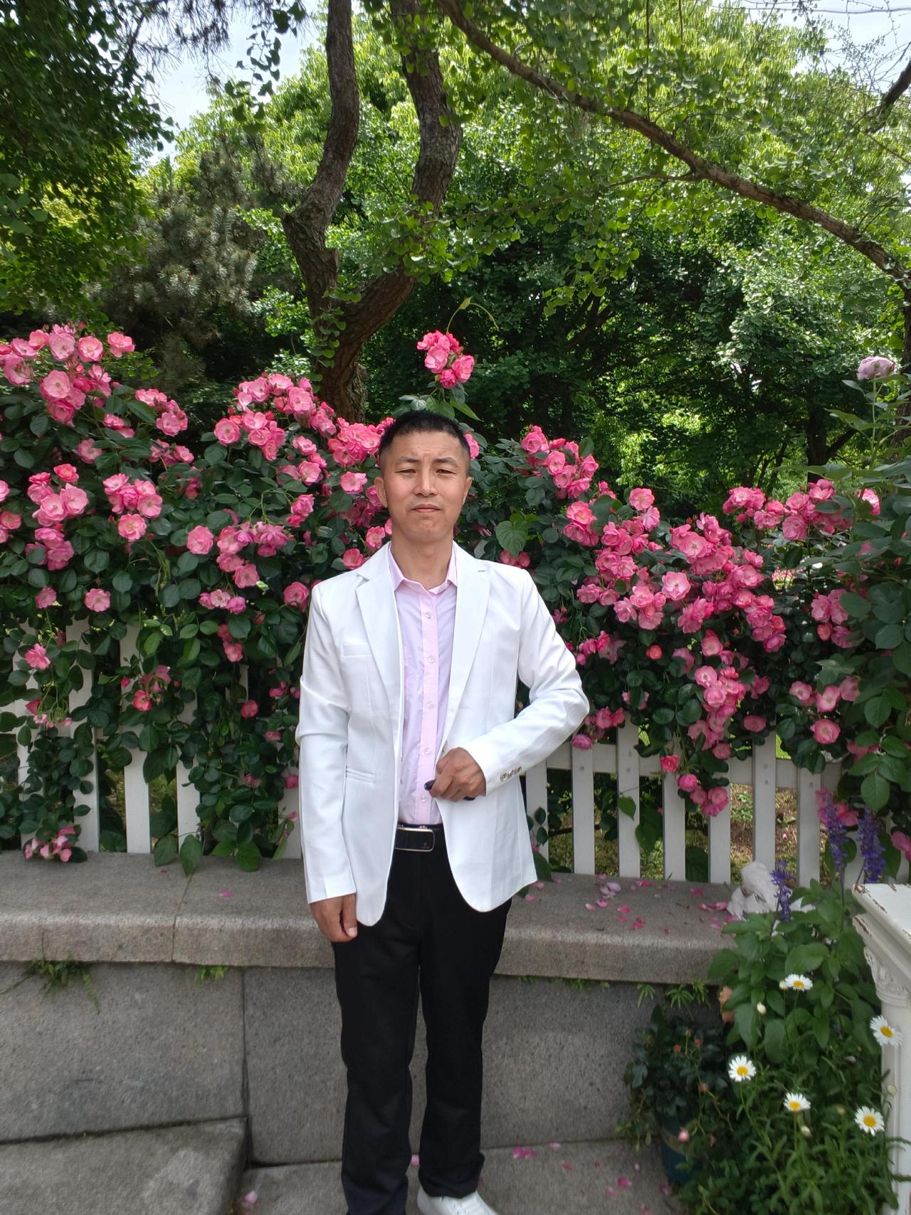 杭州花圃公园蔷薇花墙 美景，自行拍摄