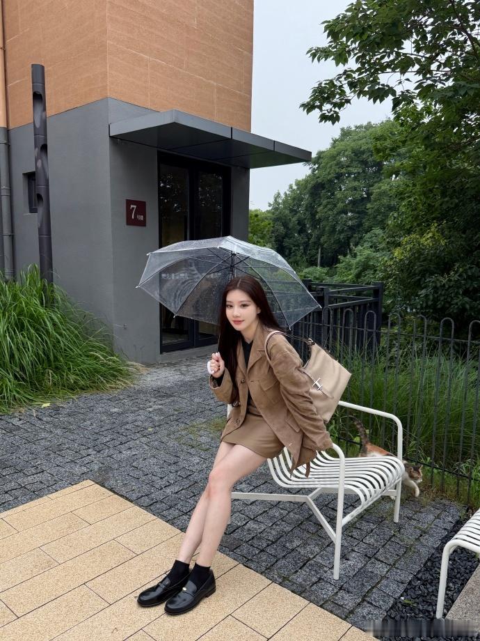 王鹤润给小猫撑伞王鹤润雨天遇小猫看到王鹤润蹲在雨里安抚小猫，突然觉得好治愈，愿意