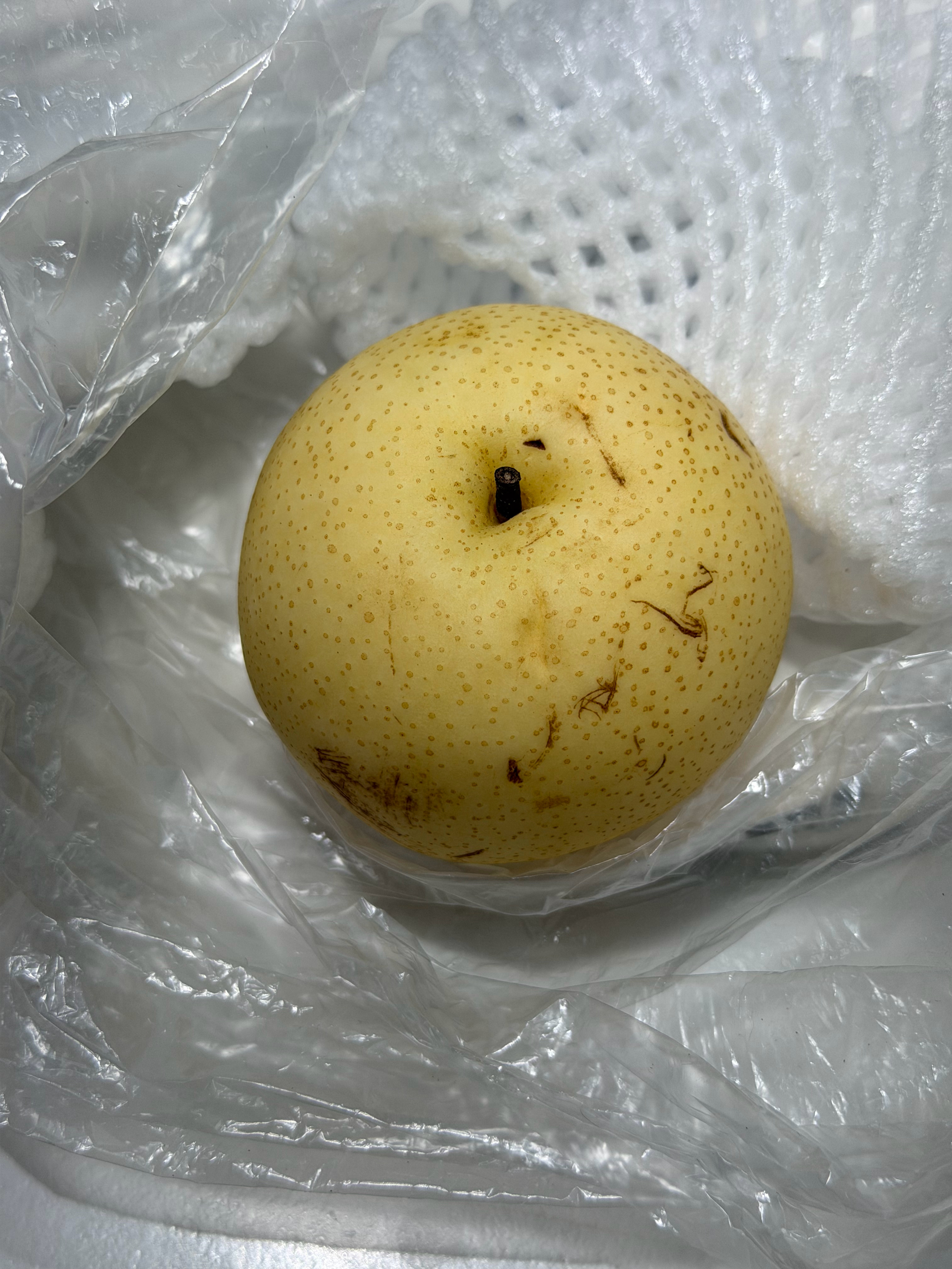 不是，梨子这么能放这么久不腐烂？ 我在我家冰箱角落里翻出来个去年的梨……这梨除了