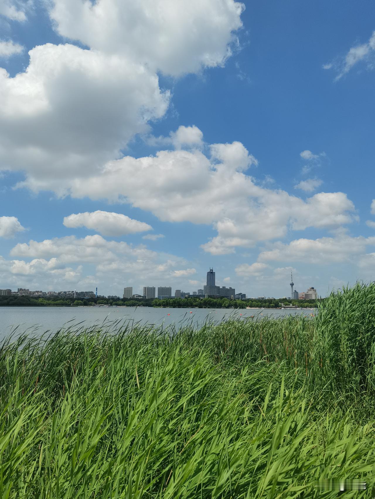 回归自然，环境优美，生态和谐