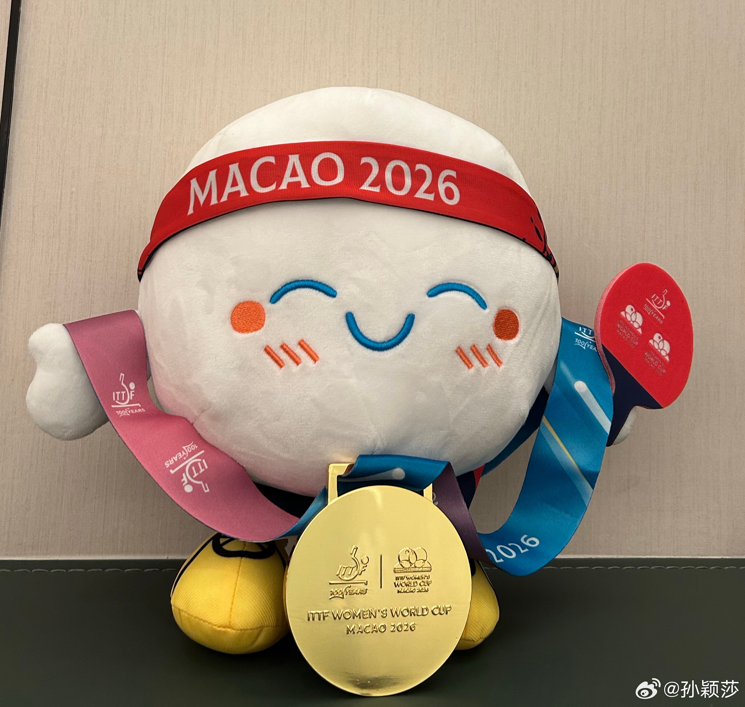 感觉这个波仔就是孙颖莎 萌的不行 