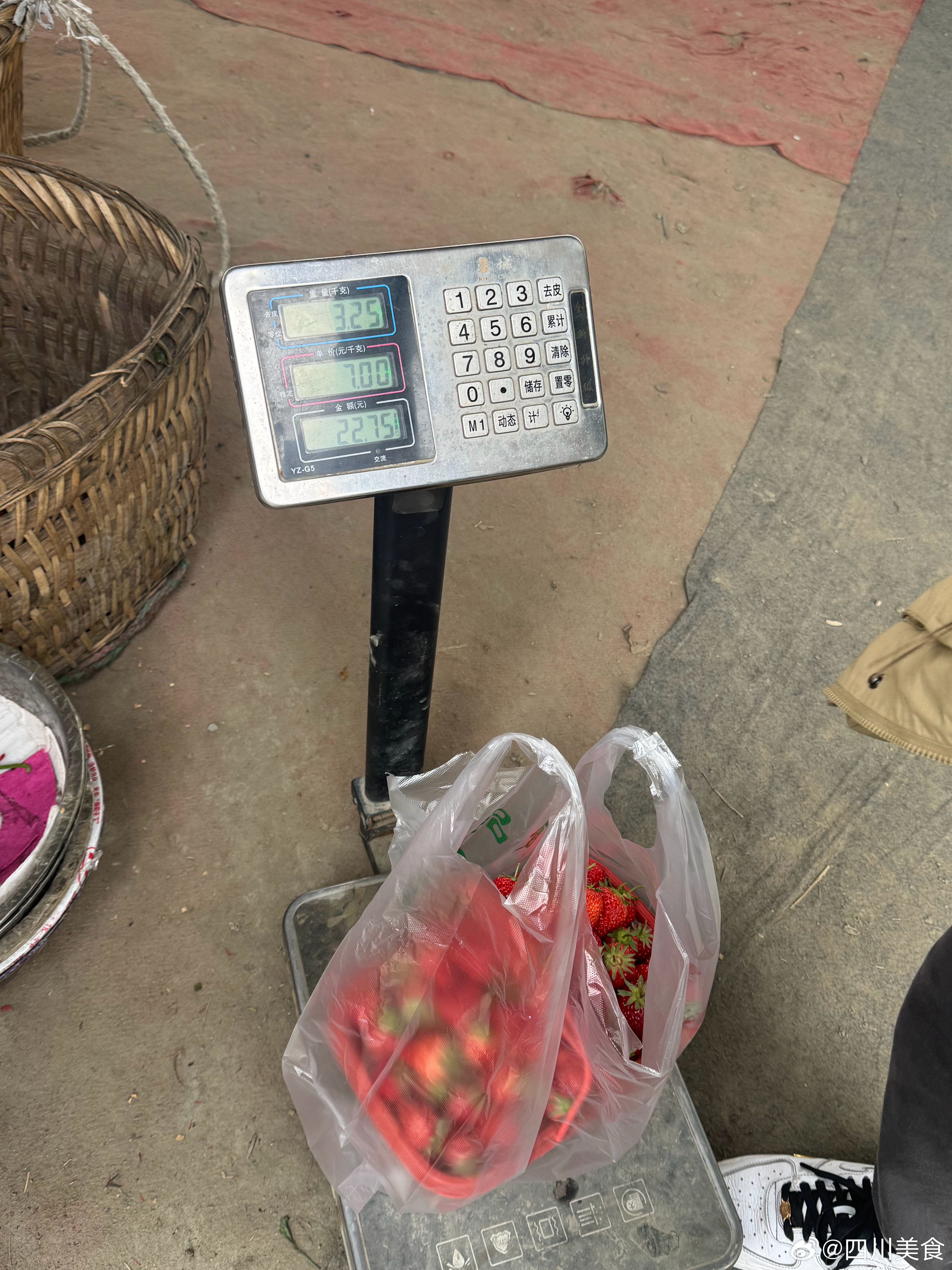 摘草莓的季节，随便找了个不算远的园子，价格也很便宜，58.8元双人畅吃，5斤的框