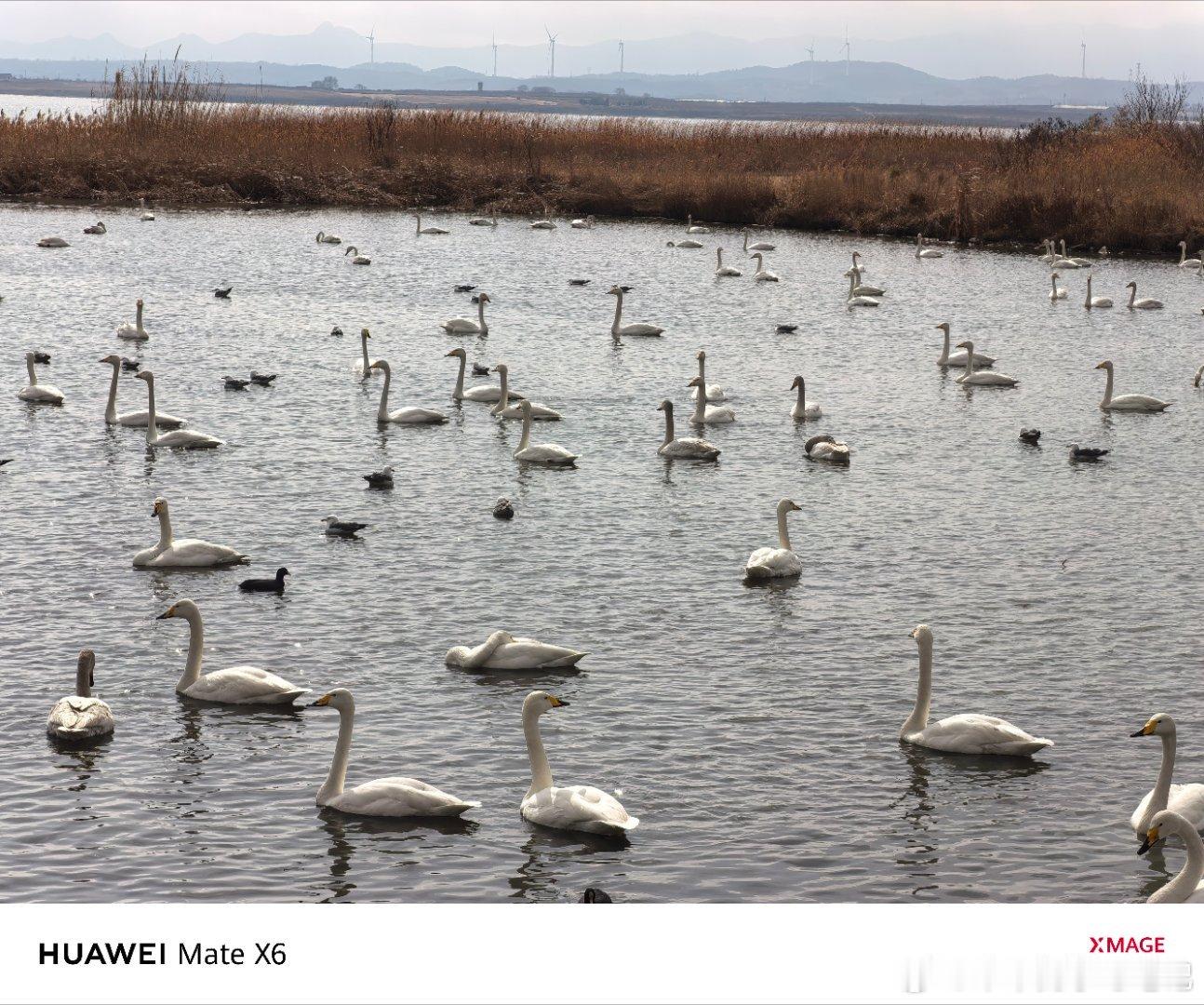 吸收一下大自然的灵气