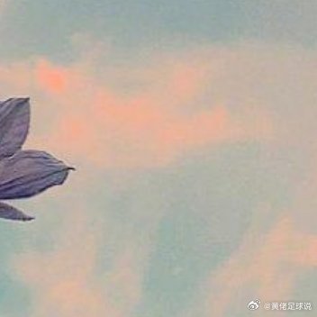 梦想不是远方的星辰，而是你脚下每一步坚持踏出的光。 
