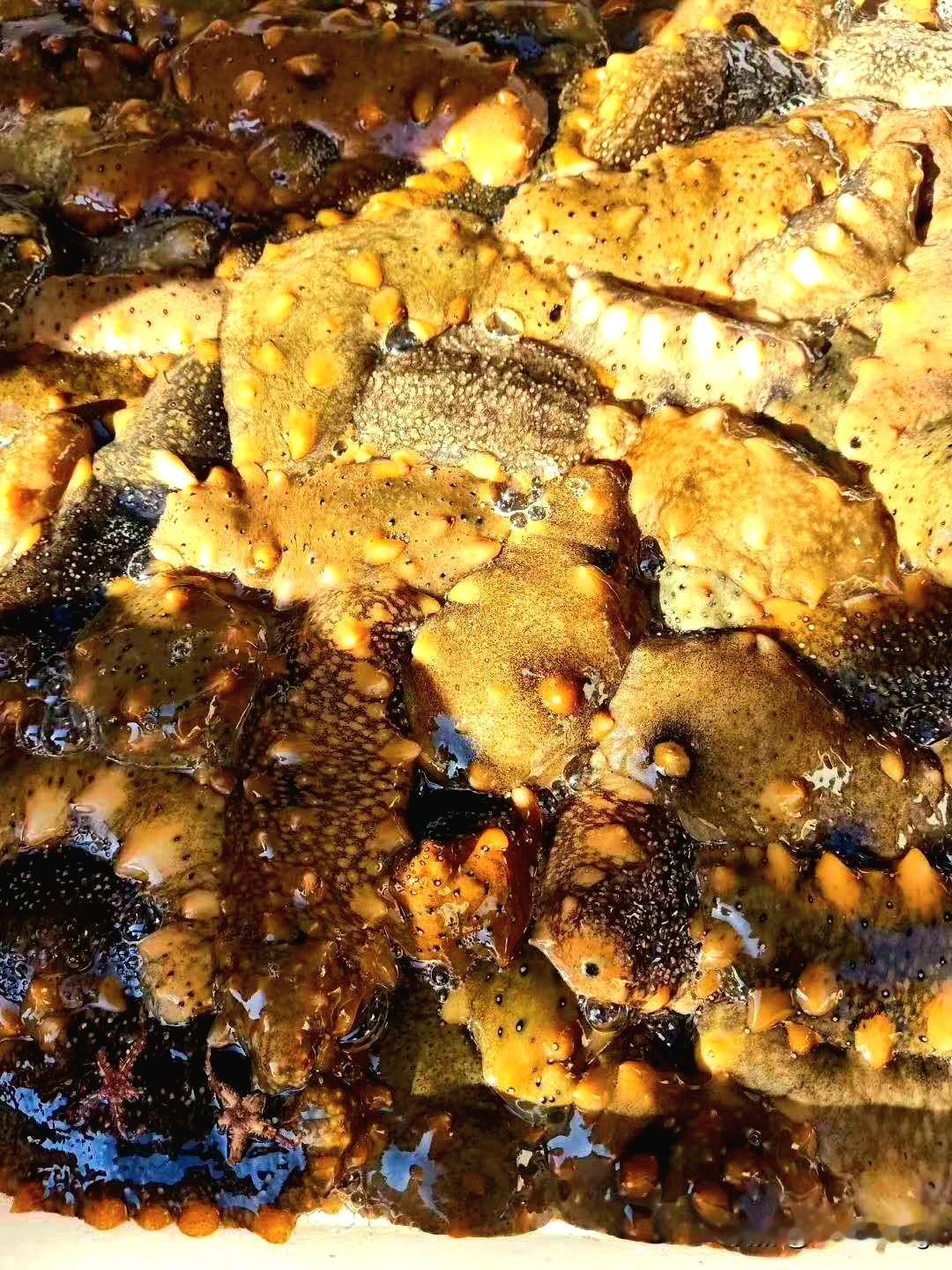 今天是2026年的第1天，各大景区可以说是人员爆满，然后路上堵得要命。这可能就是