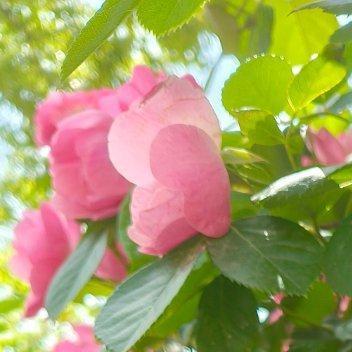 认清局势，放弃幻想，少点以为，多点作为。 ​​​