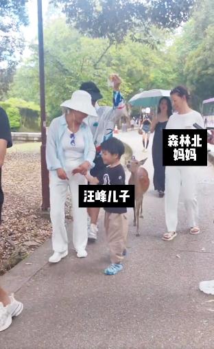 森林北女儿的长相曝光，很像她，比章子怡的女儿漂亮太多，就是看着有点不自信。
 