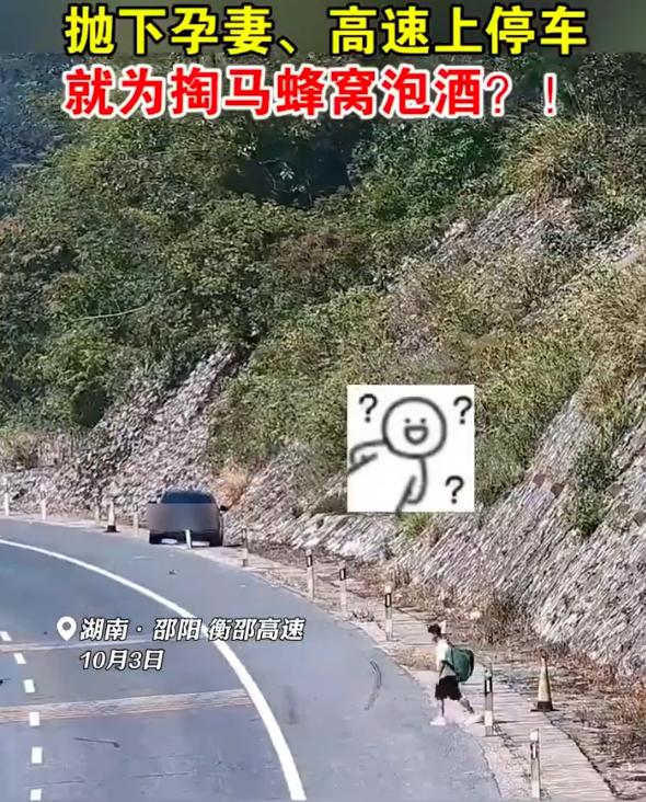 这都什么事儿呀，总是拥有的时候一点不珍惜。
男子抛下孕妻高速停车掏马蜂窝被罚
湖