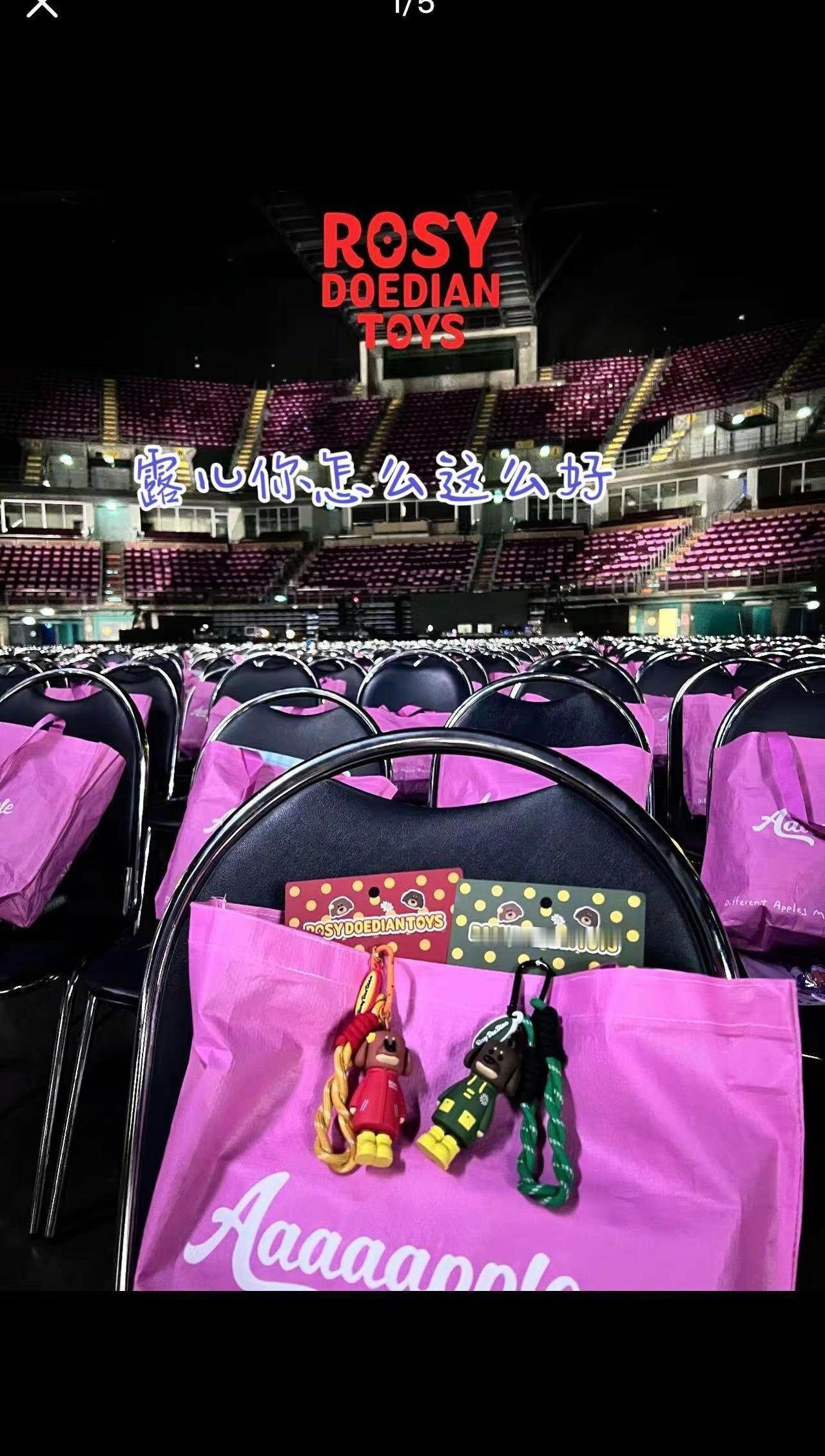 万份礼物回应亿万少女的真心赵露思 赵露思泰国演唱会