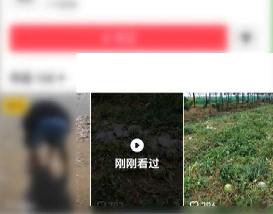宁波男子造谣西瓜免费摘被行政处罚 近日，慈溪附海派出所连续接到多名瓜农报警，千亩