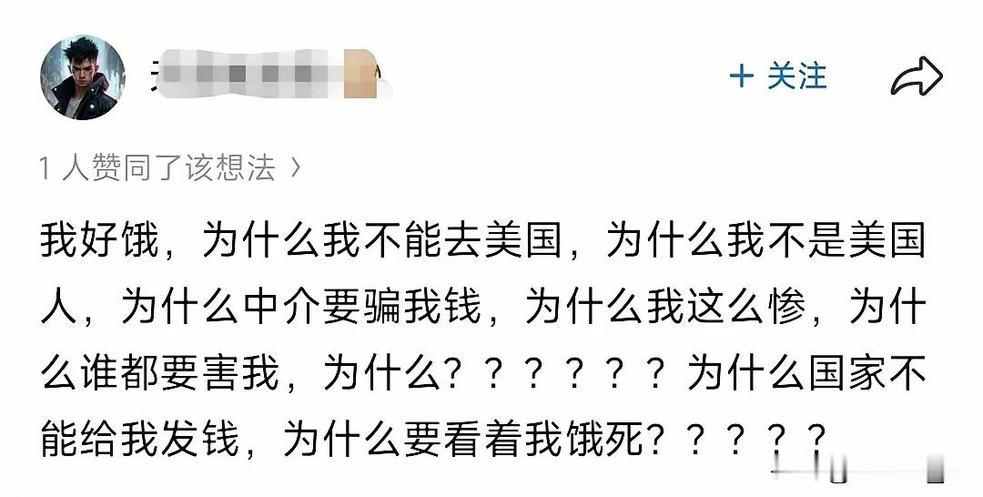 喜欢美国的，脑子基本上都长这样一个社会loser，自己国家内混的不行，就天天幻想