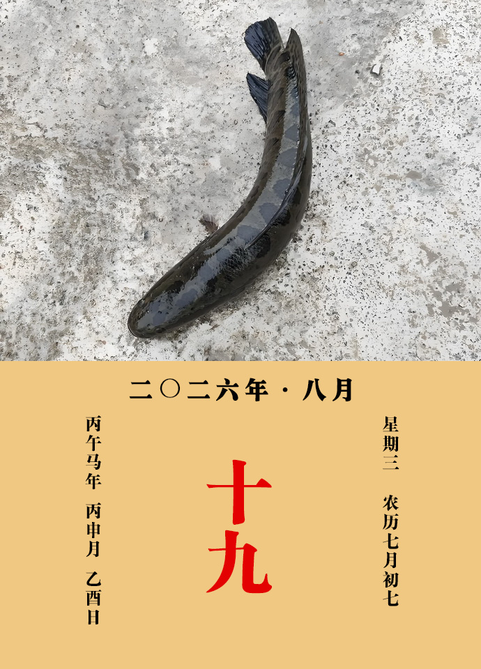每天一味中草药 陈藏器说：主大小便拥，作脍与脚气、风气人食之，效。又，肠痔下血者