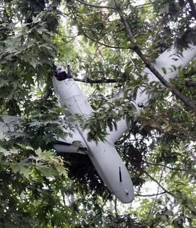 快报！是那个别有用心的家伙在朝韩之间制造摩擦？
当地时间1月10日，韩国防部长官