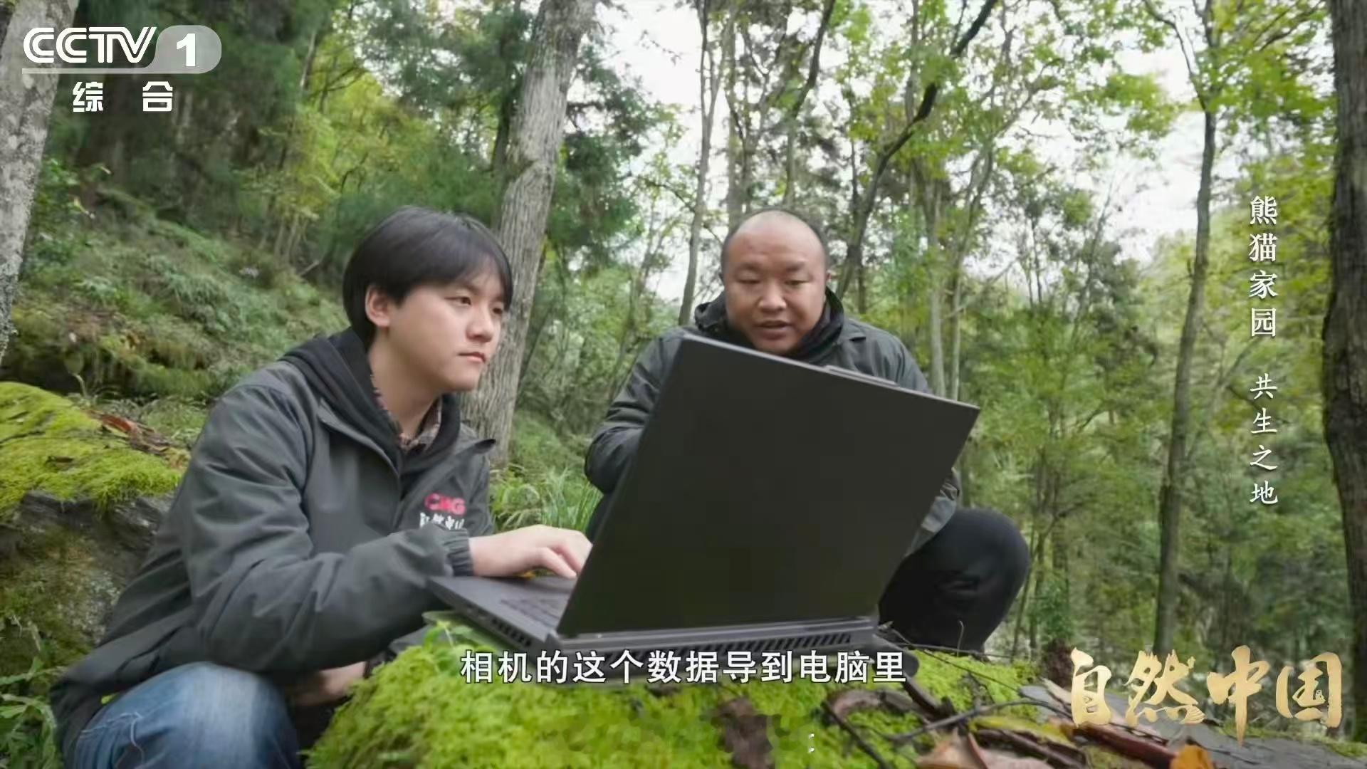 大熊猫也用上猫脸识别系统了【AI刷脸正为大熊猫建立身份证】给野生大熊猫“刷脸”是