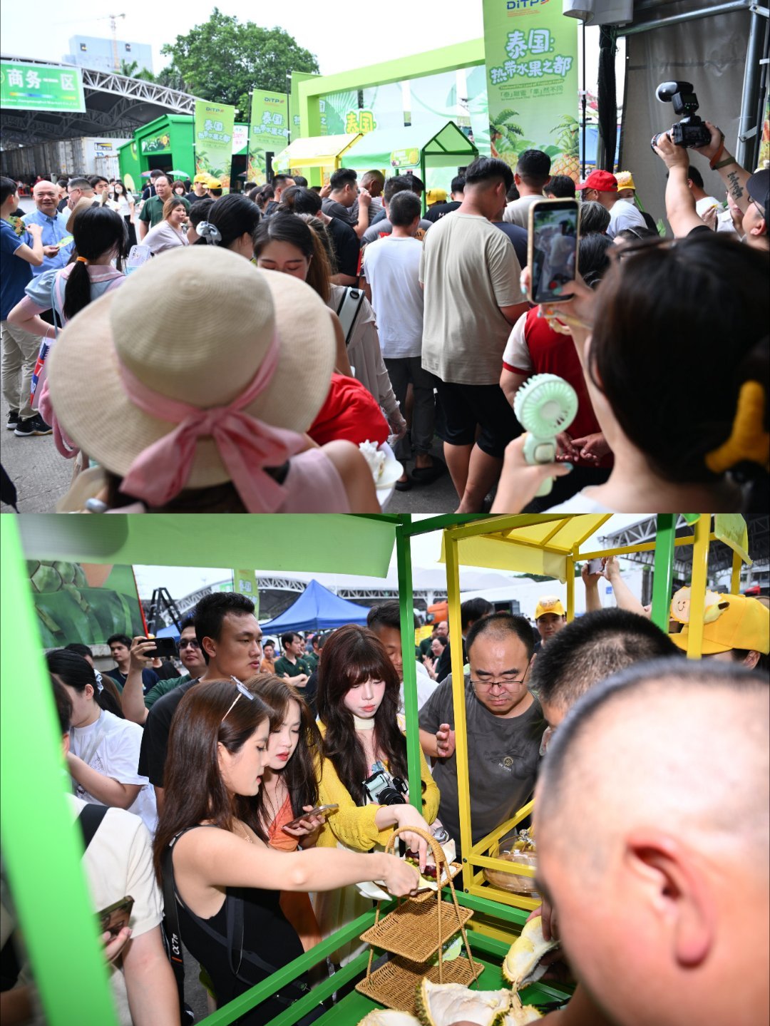 🇹🇭“泰国 热带水果之都”开柜仪式在广州圆满落幕！由泰王国驻广州总领事馆商务