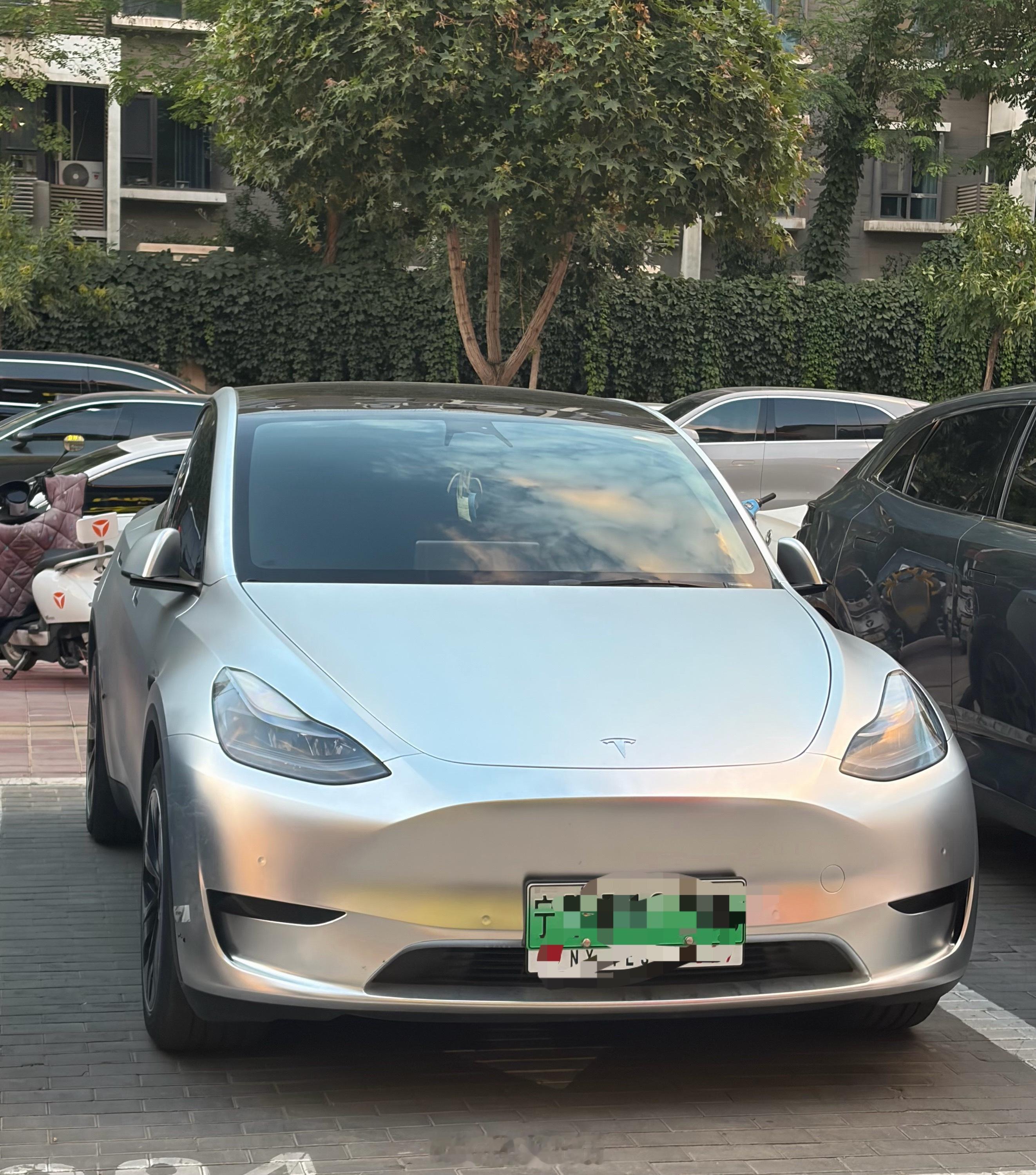 这个颜色的特斯拉你见过么？ 我第一次见。 银川·枫林湾小镇