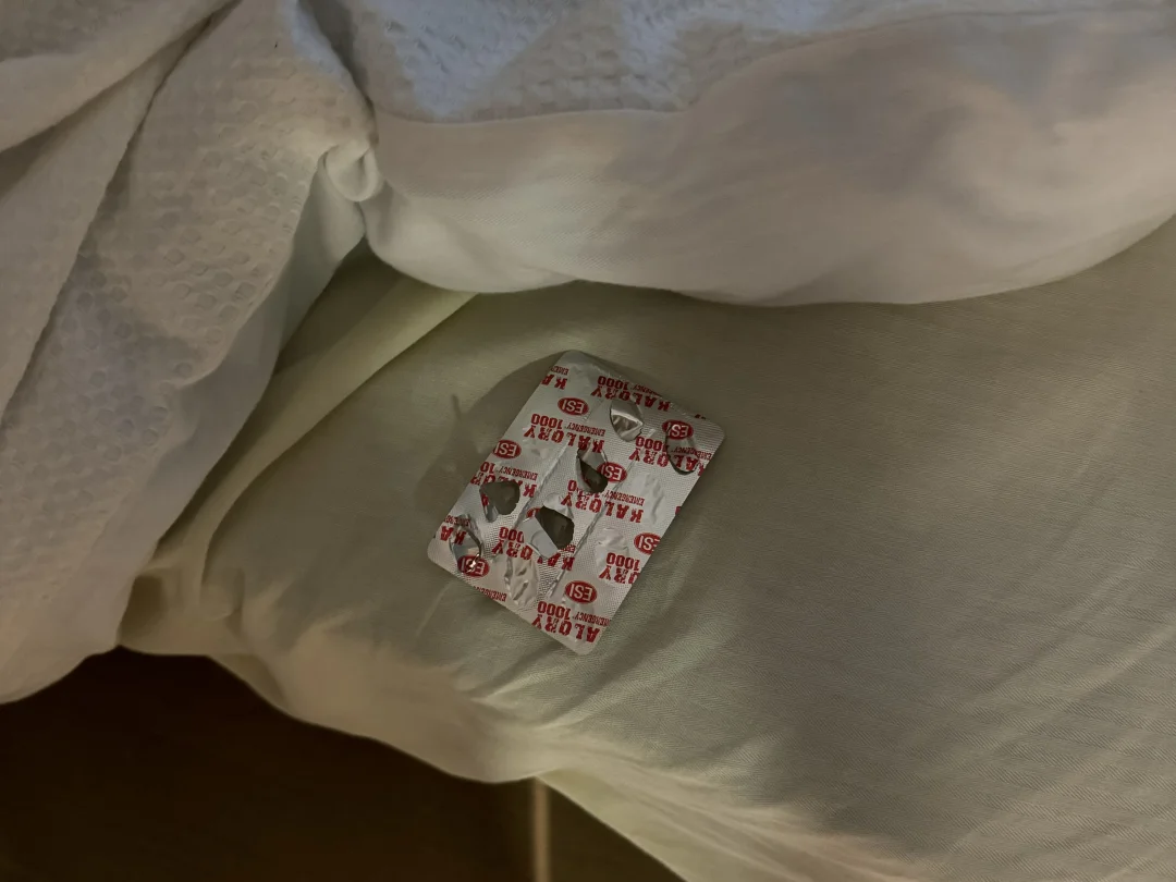 鬼玩意，第二天垃圾桶翻出来拍照...