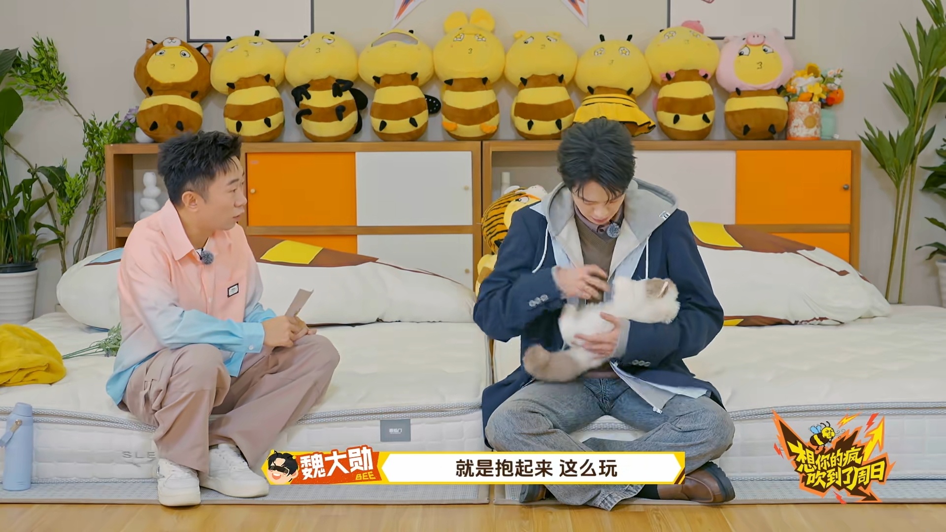 魏大勋还原摸猫神图名场面 魏大勋现场还原西装革履逗小猫神图，看到玩具猫眼神一秒温