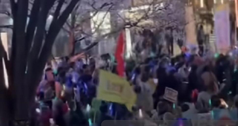 “高市道歉！”，“小泉道歉！”，中国，对不起！”：日本民众在东京举行抗议集会，抗