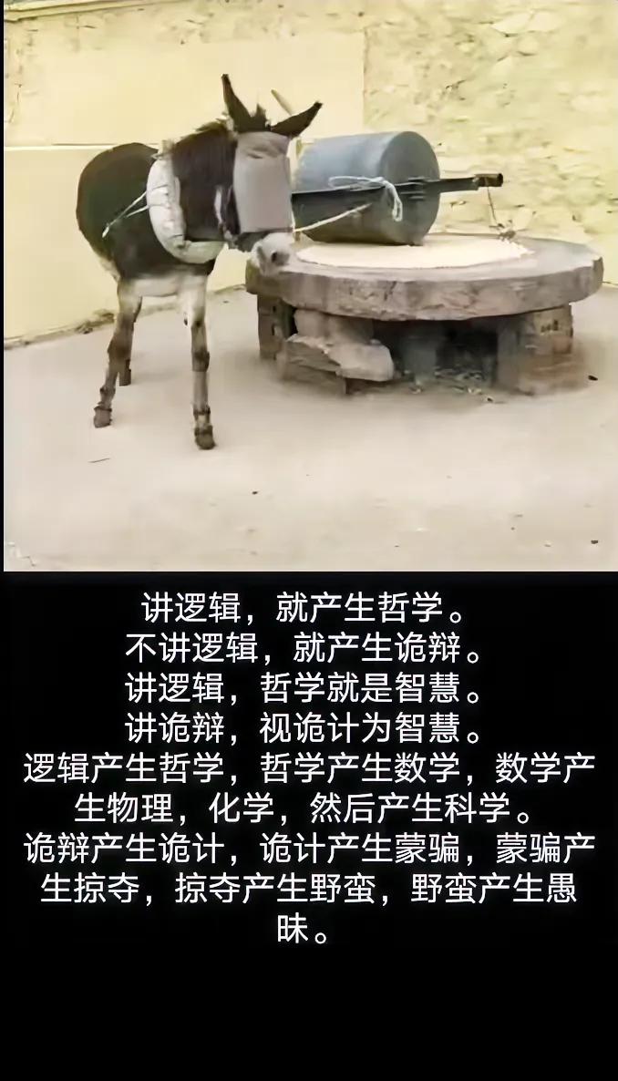 逻辑🆚诡辩
两者之间大不同🤔
神一般的逻辑