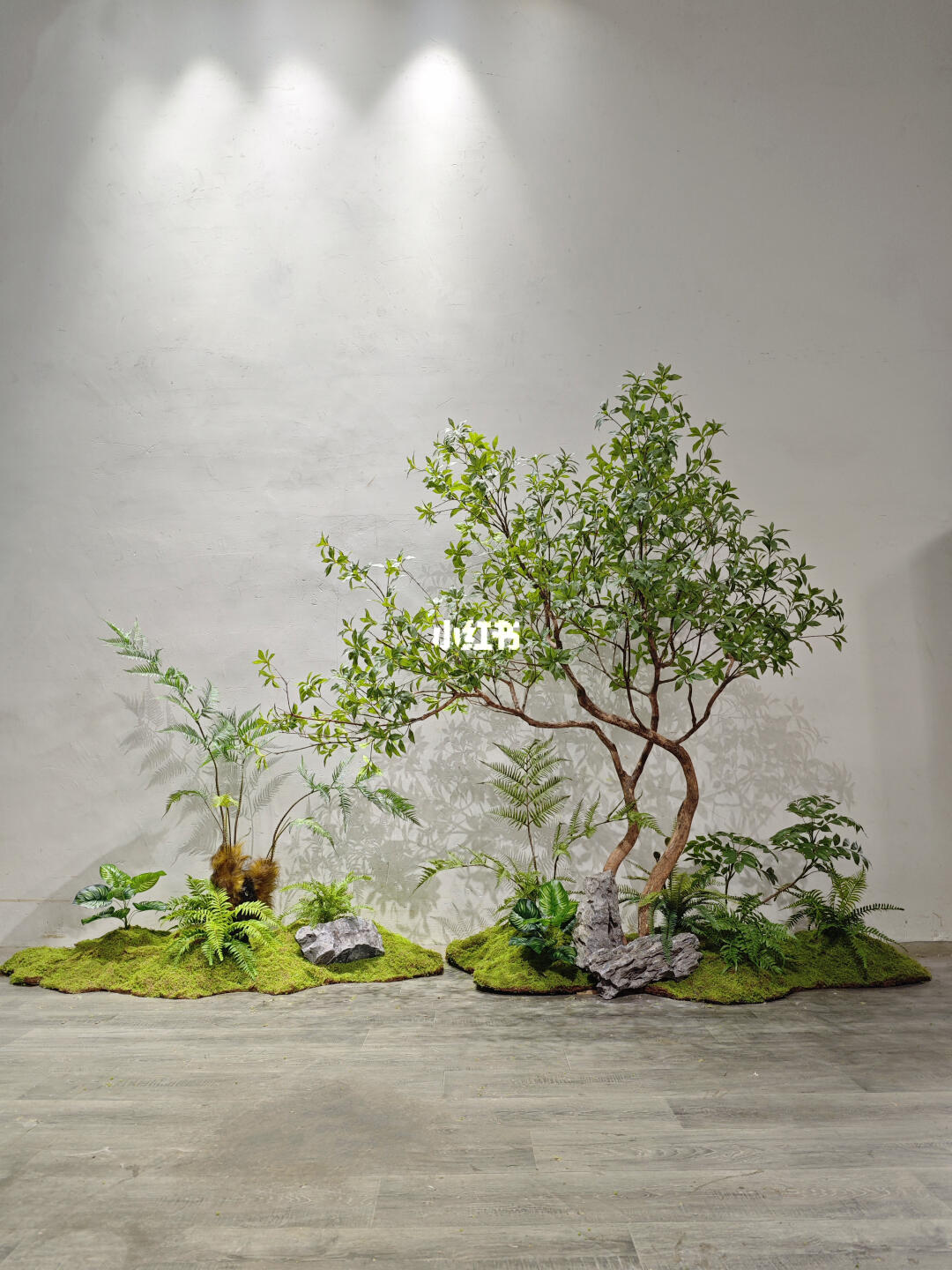 马醉树景观