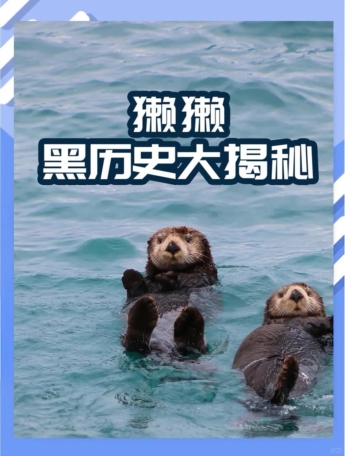 明清时江南一带普通人家的女子，常常在水里清洗贴身内衣。水獭久闻这种衣物的气息，会