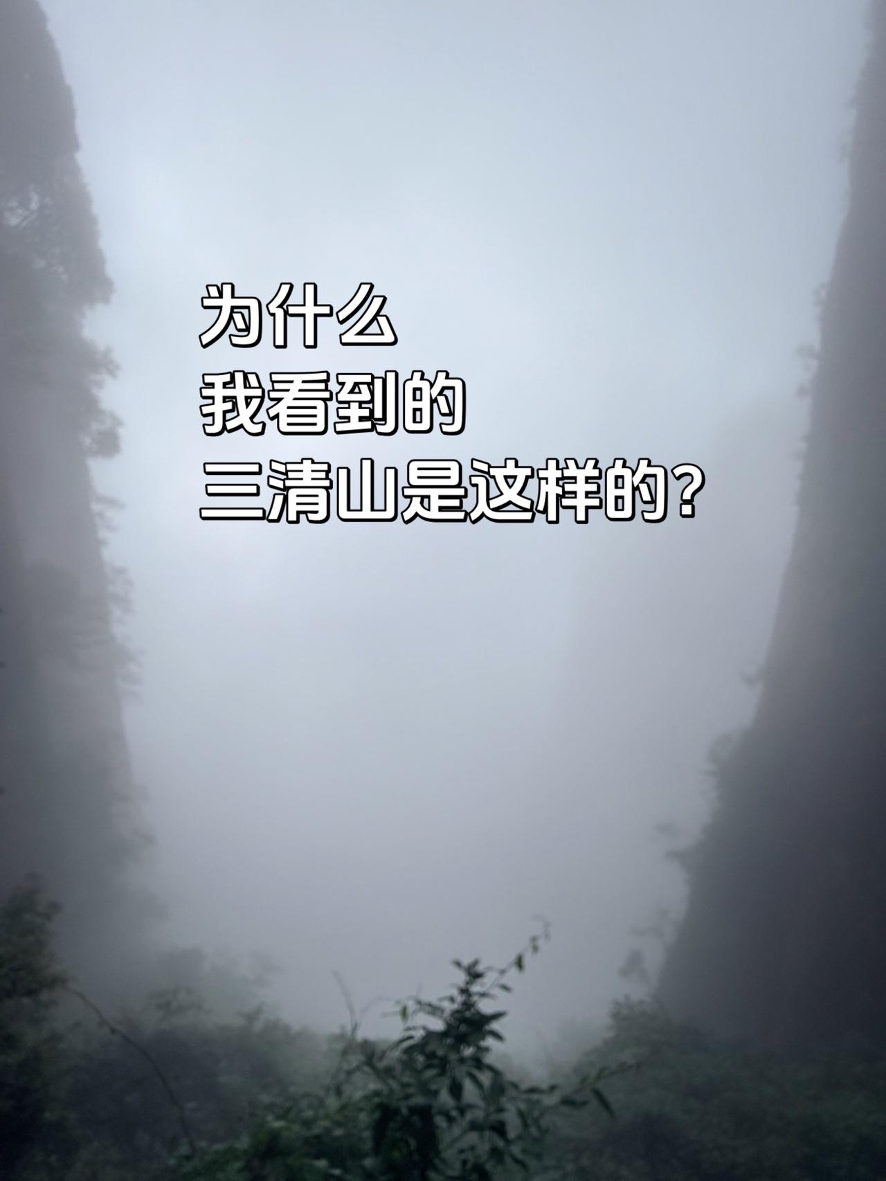 真实生活分享计划云雾缭绕人间仙境 大山深处自然美 三清山 爬山
