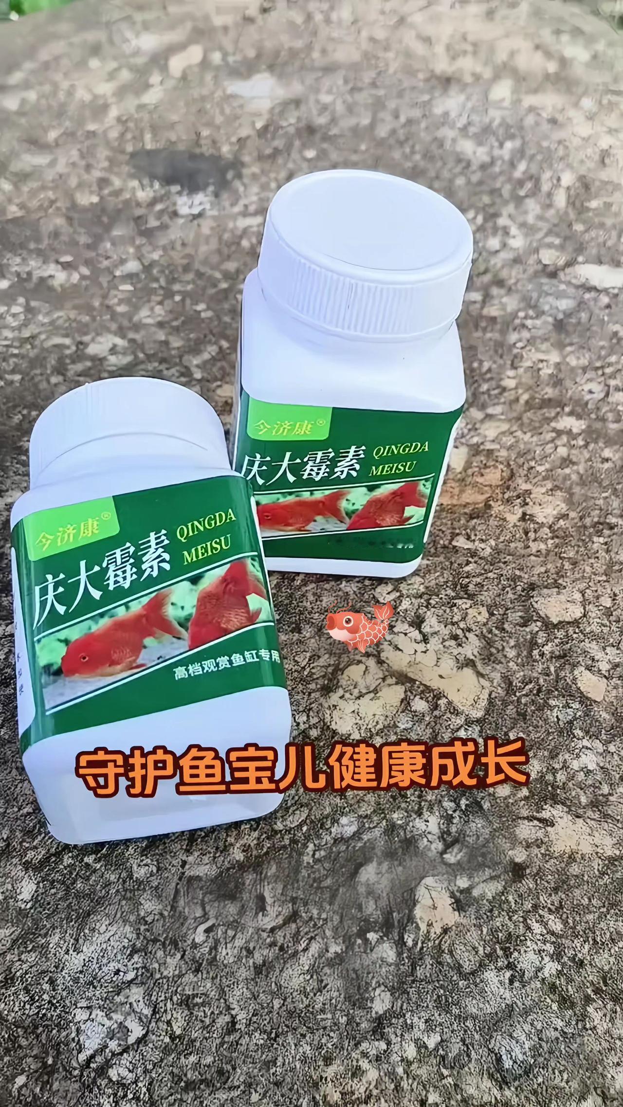 庆大霉素 养鱼日记 观赏鱼 观赏鱼交叉感染 新手养鱼