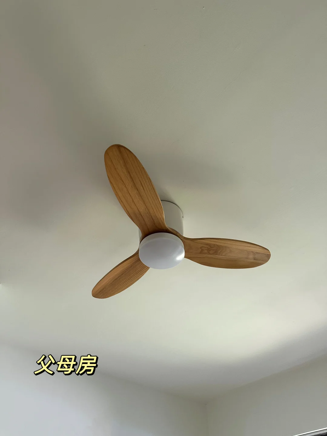 三盏吊扇灯｜我的租房生活⑦