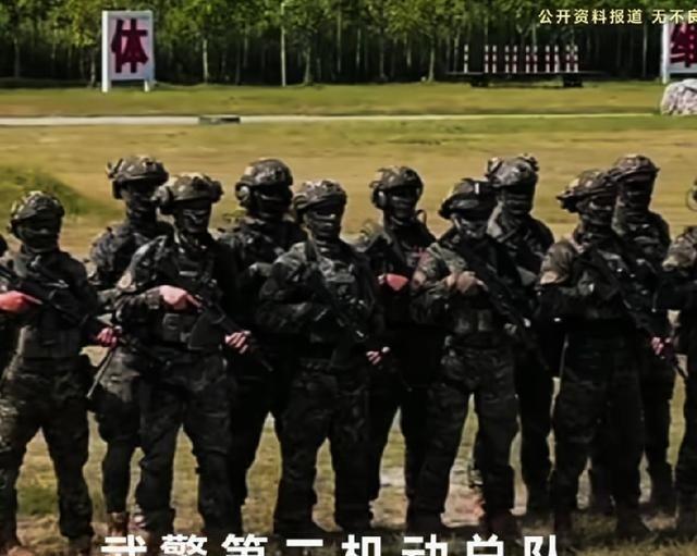 知道武警第二机动总队到底有多硬核吗？
如果只盯着枪、车和特战课目，很容易把这支部