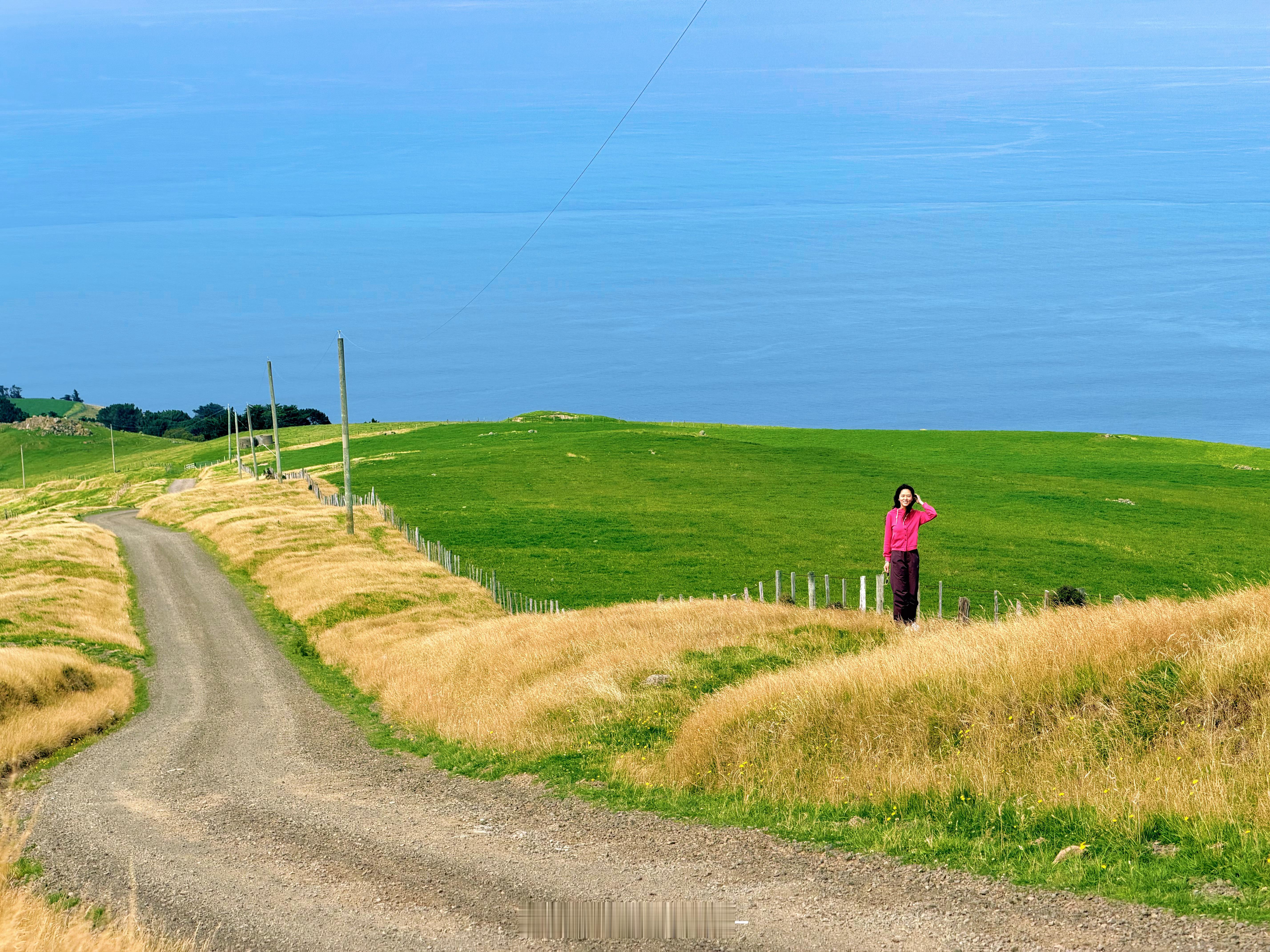 这条路，好美我看到这条路就在想哪位品牌方爸爸给我下个商单我就来新西兰这个地方拍旅